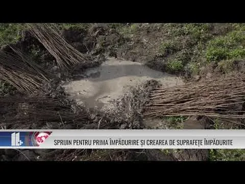 SPRIJIN PENTRU PRIMA ÎMPĂDURIRE ȘI CREAREA DE SUPRAFEȚE ÎMPĂDURITE