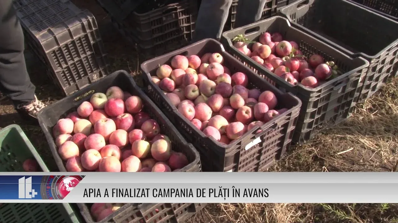 APIA A FINALIZAT CAMPANIA DE PLĂȚI ÎN AVANS