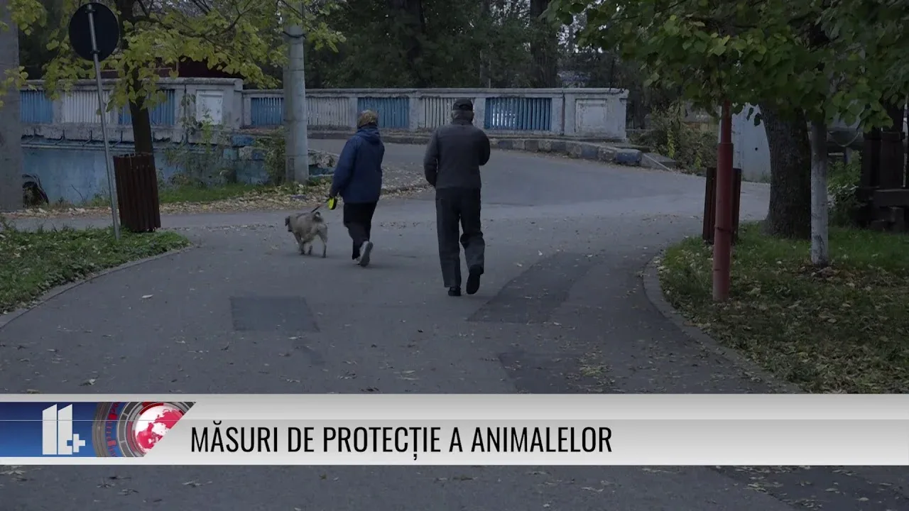 MĂSURI PENTRU PROTEJAREA ANIMALELOR