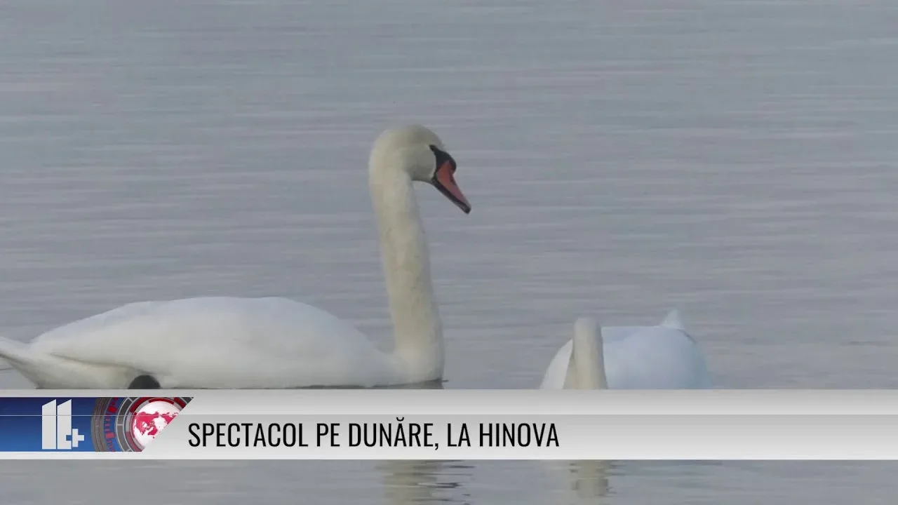 SPECTACOL PE DUNĂRE, LA HINOVA