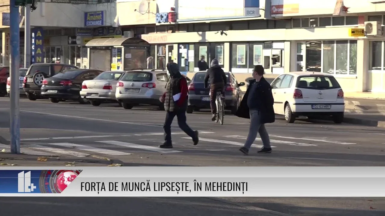 FORȚA DE MUNCĂ LIPSEȘTE, ÎN MEHEDINȚI