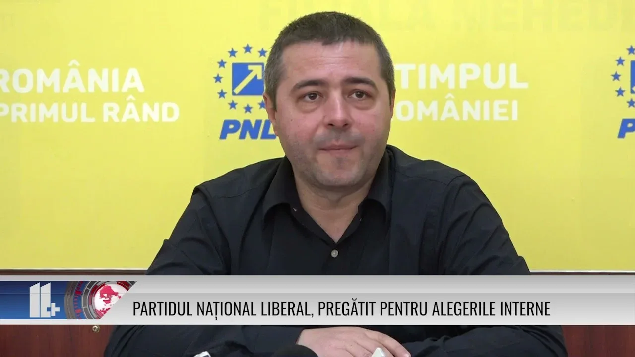 PARTIDUL NAȚIONAL LIBERAL, PREGĂTIT PENTRU ALEGERILE INTERNE