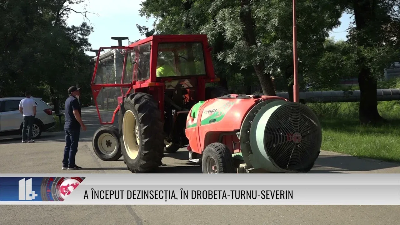 A ÎNCEPUT DEZINSECȚIA, ÎN DROBETA TURNU SEVERIN