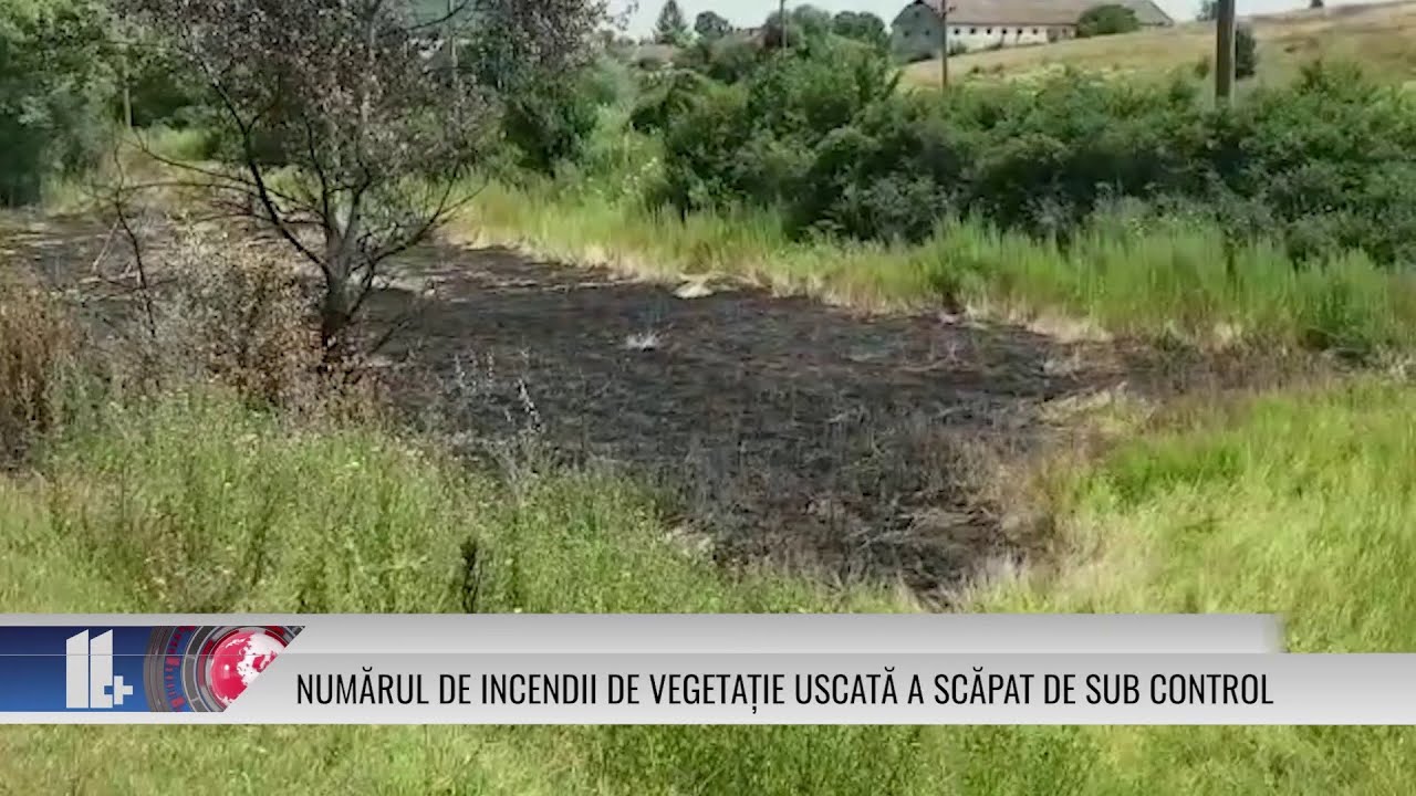 NUMĂRUL DE INCENDII DE VEGETAȚIE USCATĂ A SCĂPAT DE SUB CONTROL