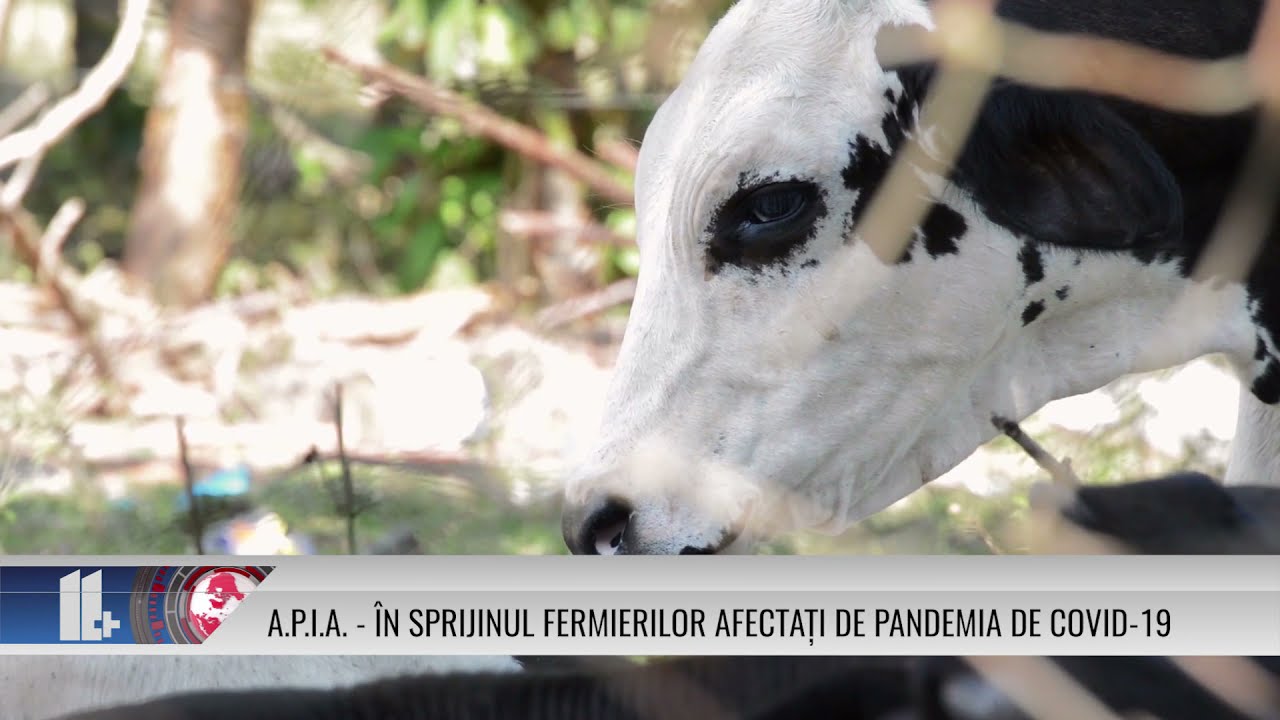 APIA – ÎN SPRIJINUL FERMIERILOR AFECTAȚI DE PANDEMIA DE COVID 19