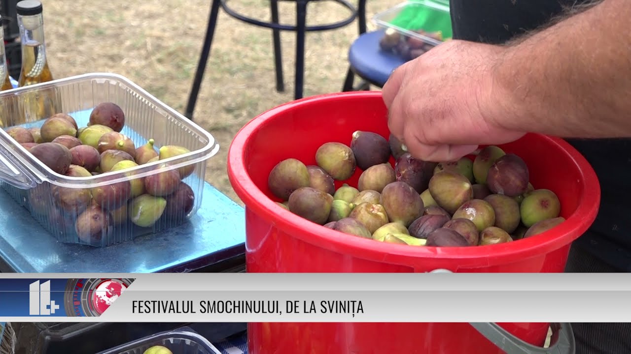 FESTIVALUL SMOCHINULUI, DE LA SVINIȚA