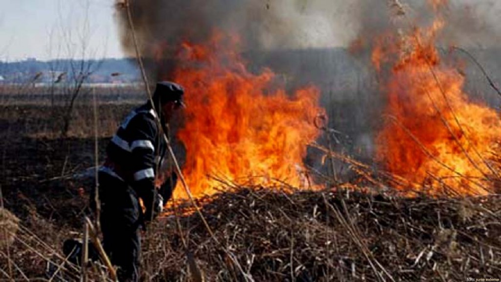 Incendiu puternic în Mehedinți