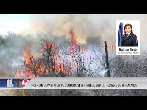 INCENDIU DEVASTATOR PE CENTURA SEVERINULUI 260 DE HECTARE DE TEREN ARSE