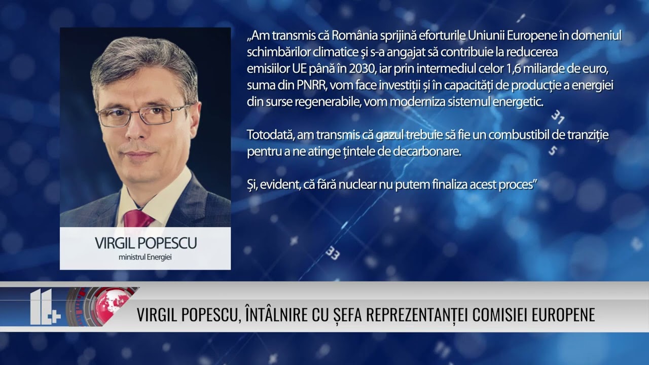 Virgil Popescu, întâlnire cu șefa reprezentanței Comisiei Europene