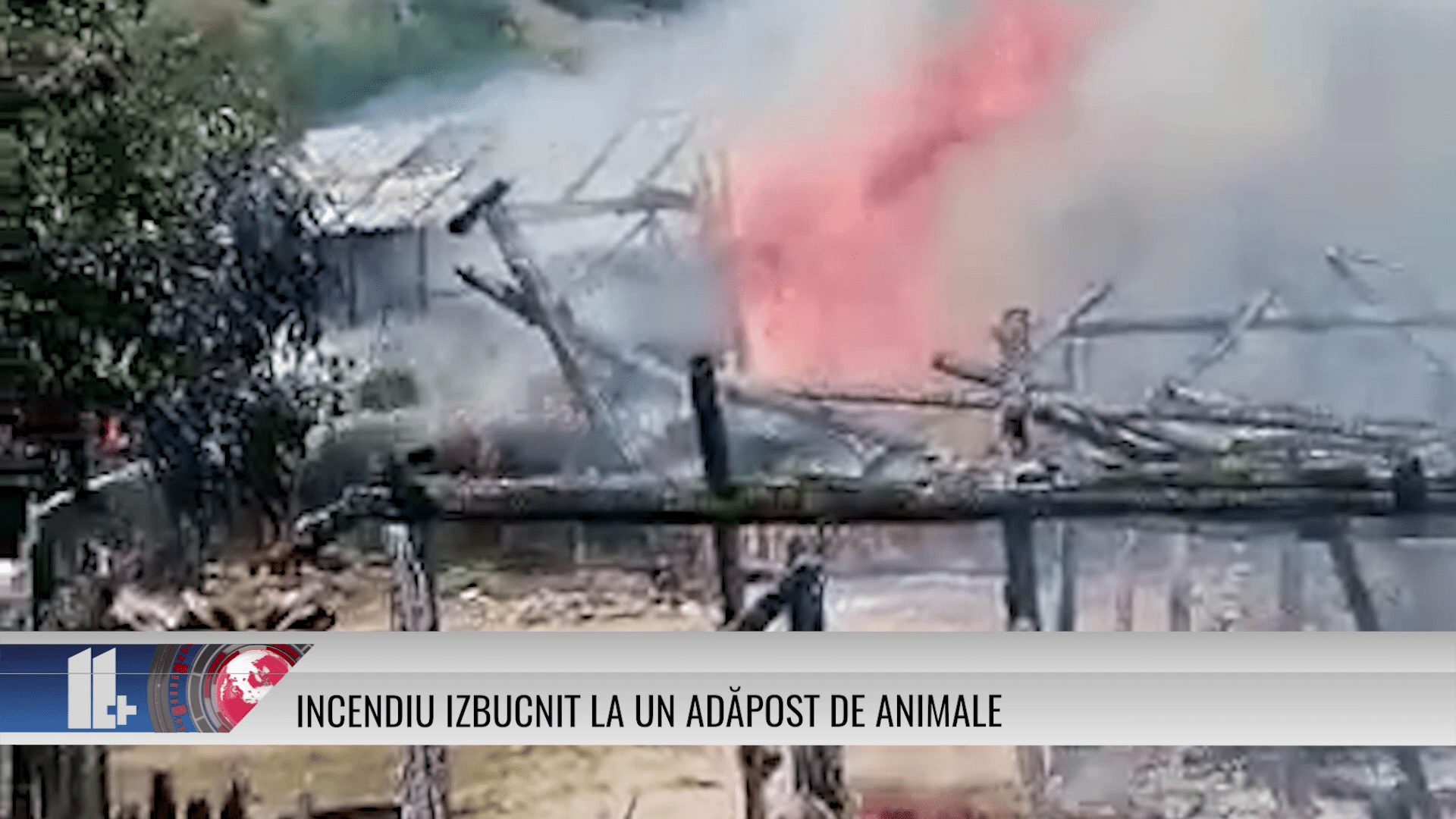 Incendiu izbucnit la un adăpost de animale