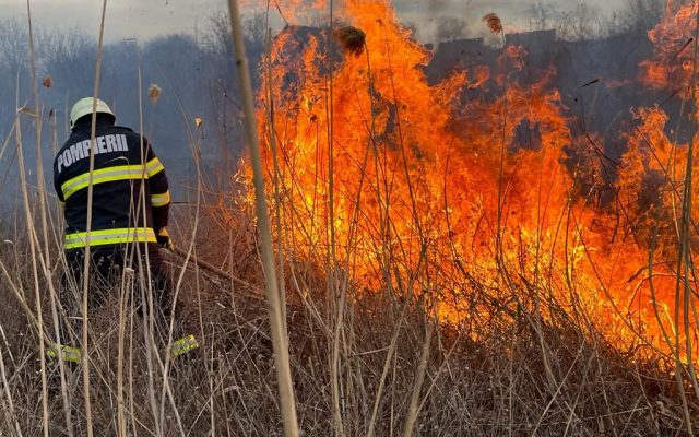 Tot mai multe incendii de vegetație. Pompierii, nevoiți să ia măsuri suplimentare 