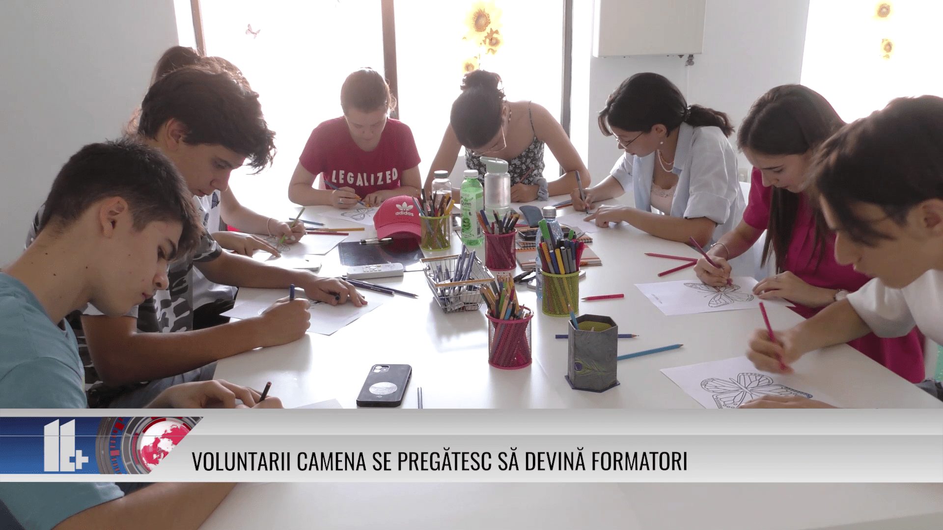 Voluntarii Camena se pregătesc să devină formatori