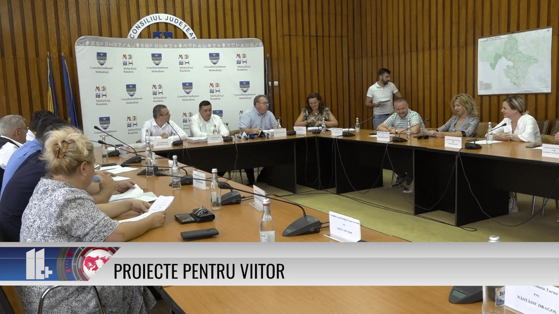 Proiecte pentru viitor