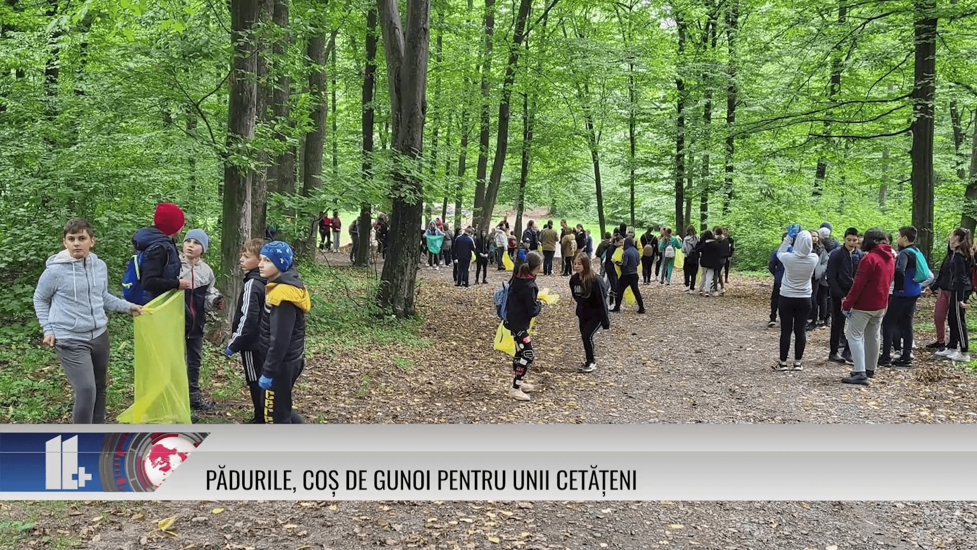 Pădurile, coș de gunoi pentru unii cetățeni