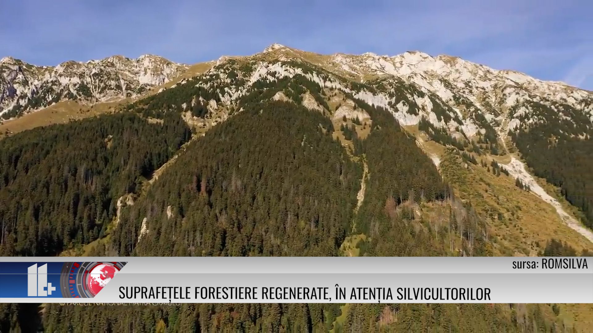 Suprafețele forestiere regenerate, în atenția silvicultorilor