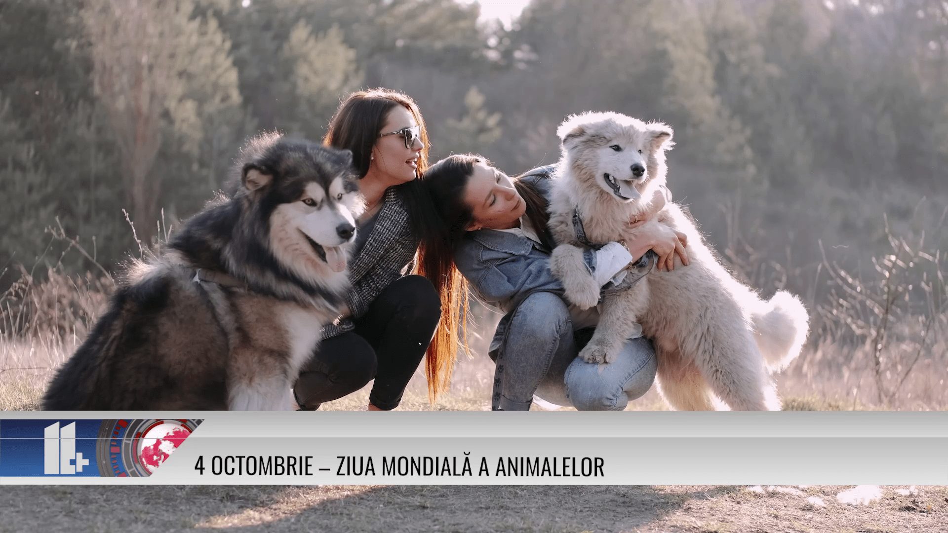 4 octombrie – Ziua Mondială a Animalelor