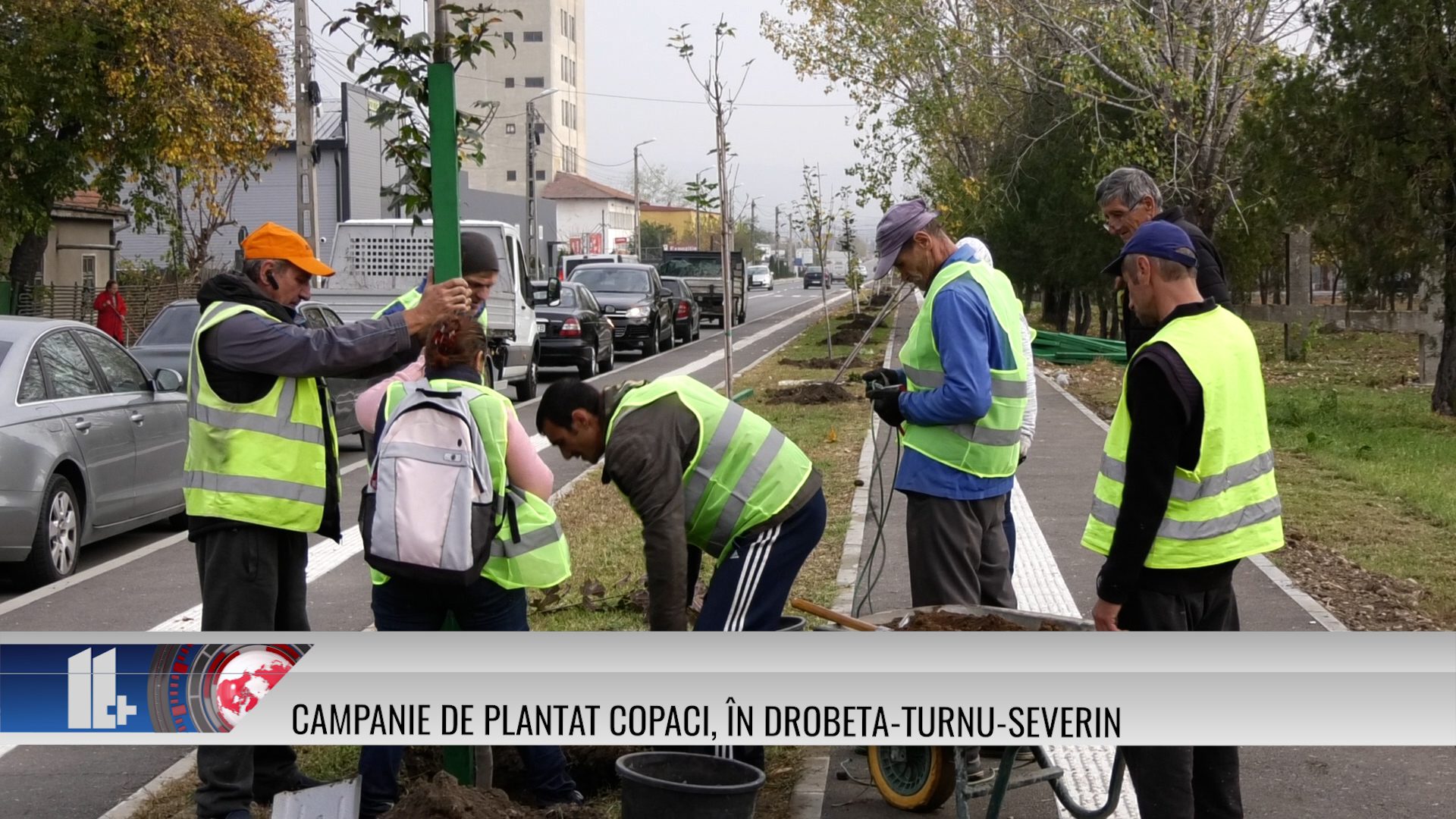 Campanie de plantat copaci, în Drobeta-Turnu-Severin