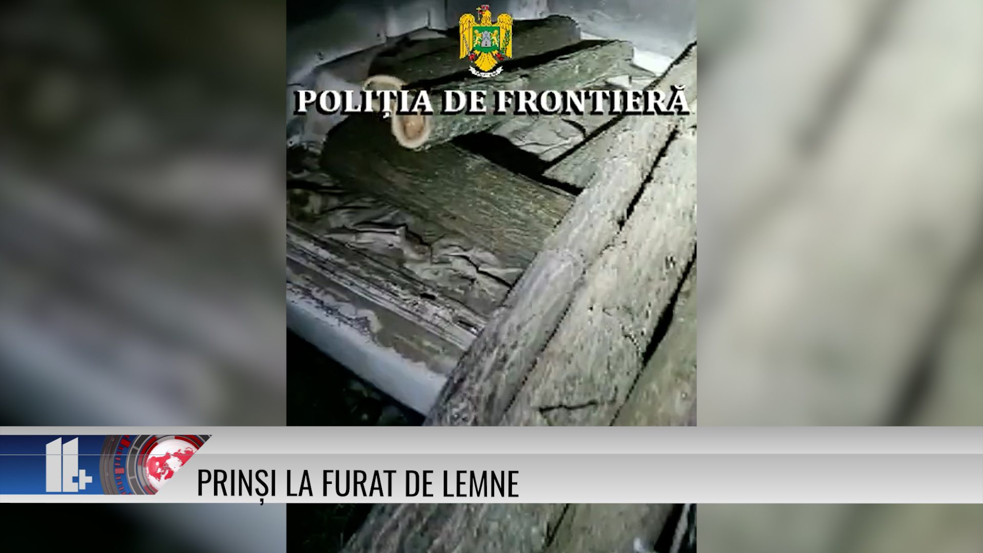 Prinși la furat de lemne