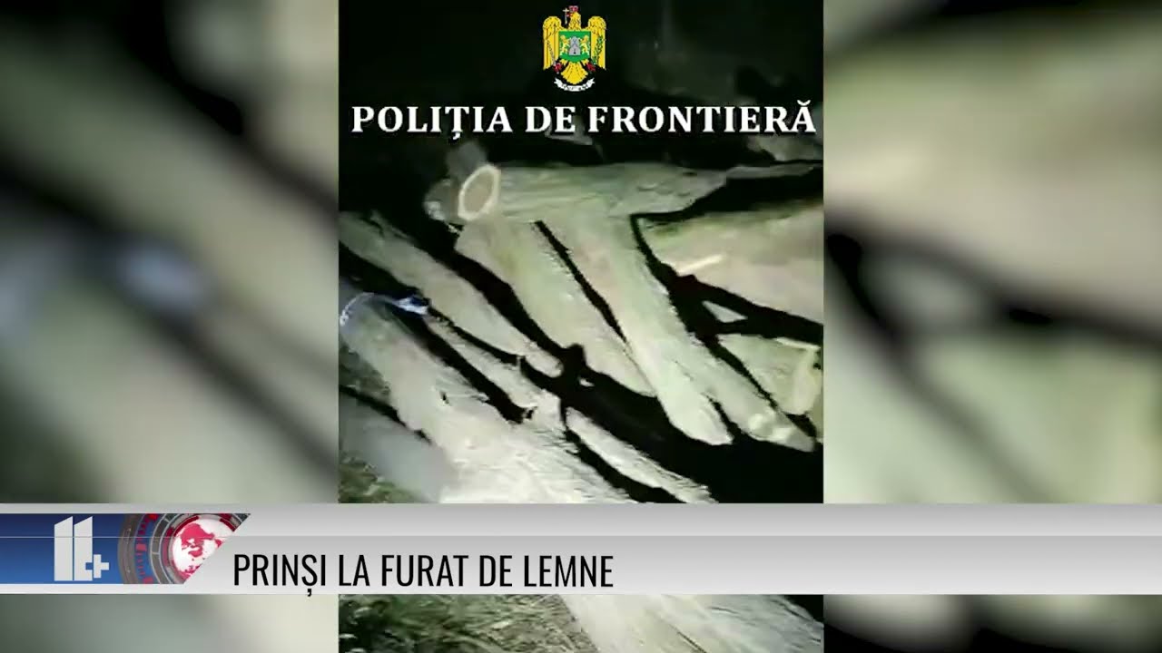 11 PLUS – Prinși la furat de lemne