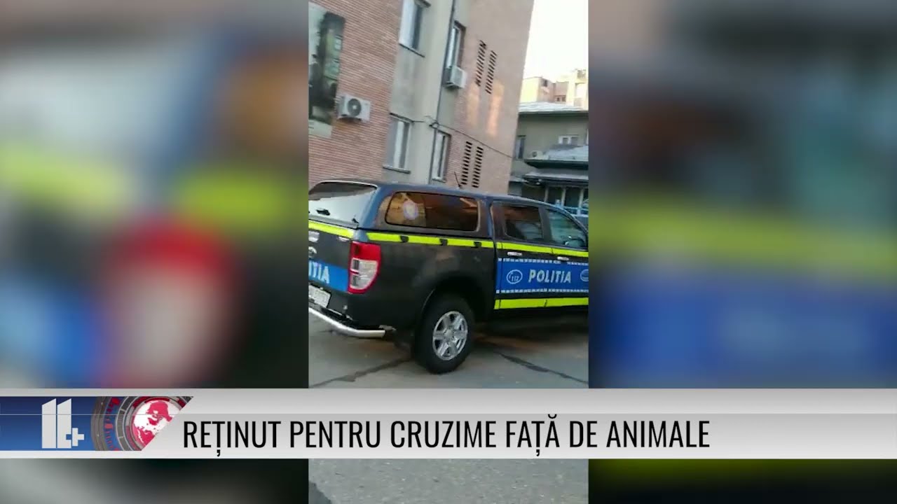 11 PLUS – Reținut pentru cruzime față de animale