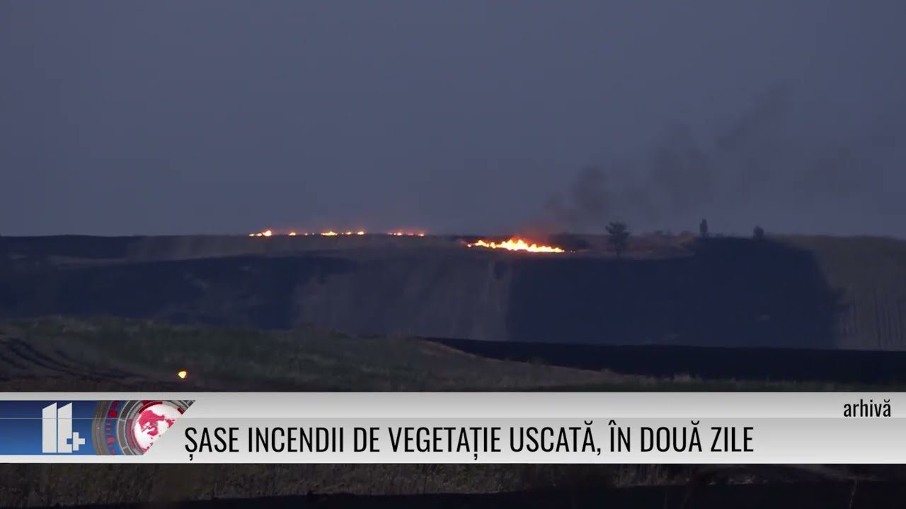 Șase incendii de vegetație uscată, în două zile