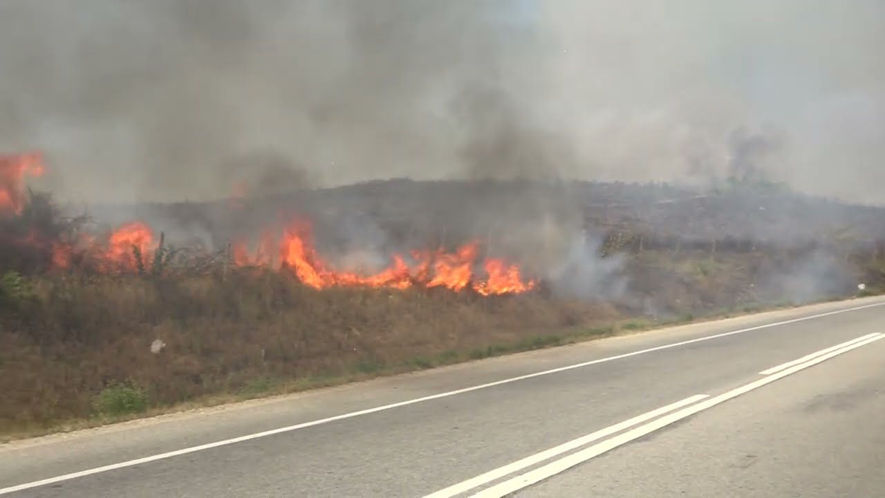 Arderea vegetației uscate este interzisă!