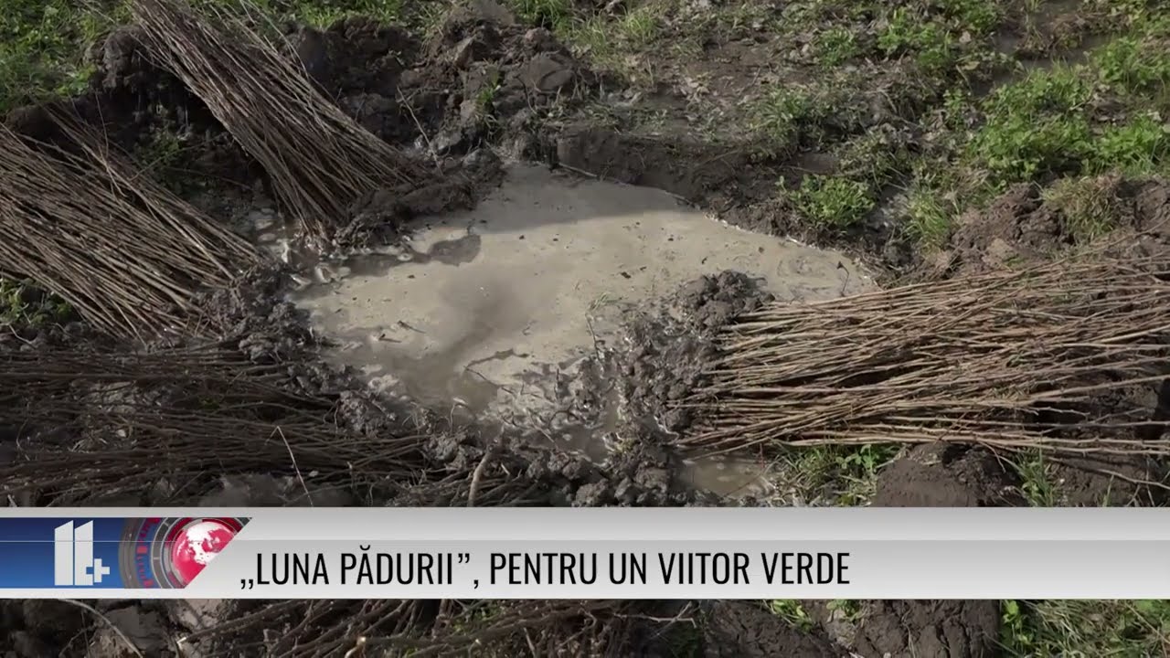 „Luna Pădurii”, pentru un viitor verde