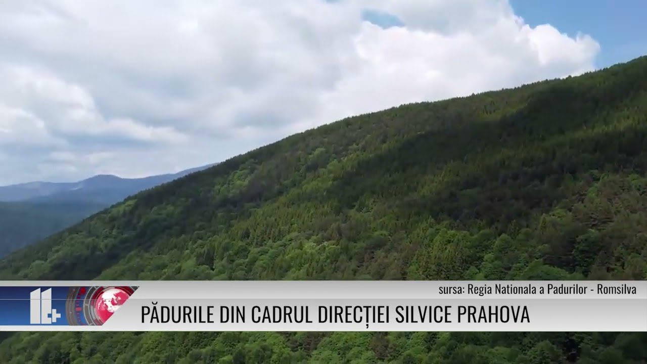 Pădurile din cadrul Direcției Silvice Prahova