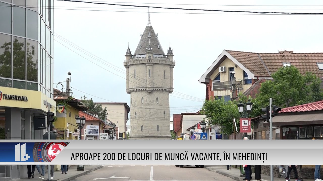 Aproape 200 de locuri de muncă vacante, în Mehedinți