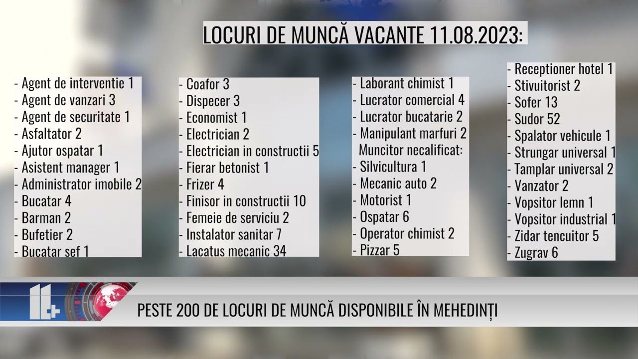 Peste 200 de locuri de muncă disponibile în Mehedinți