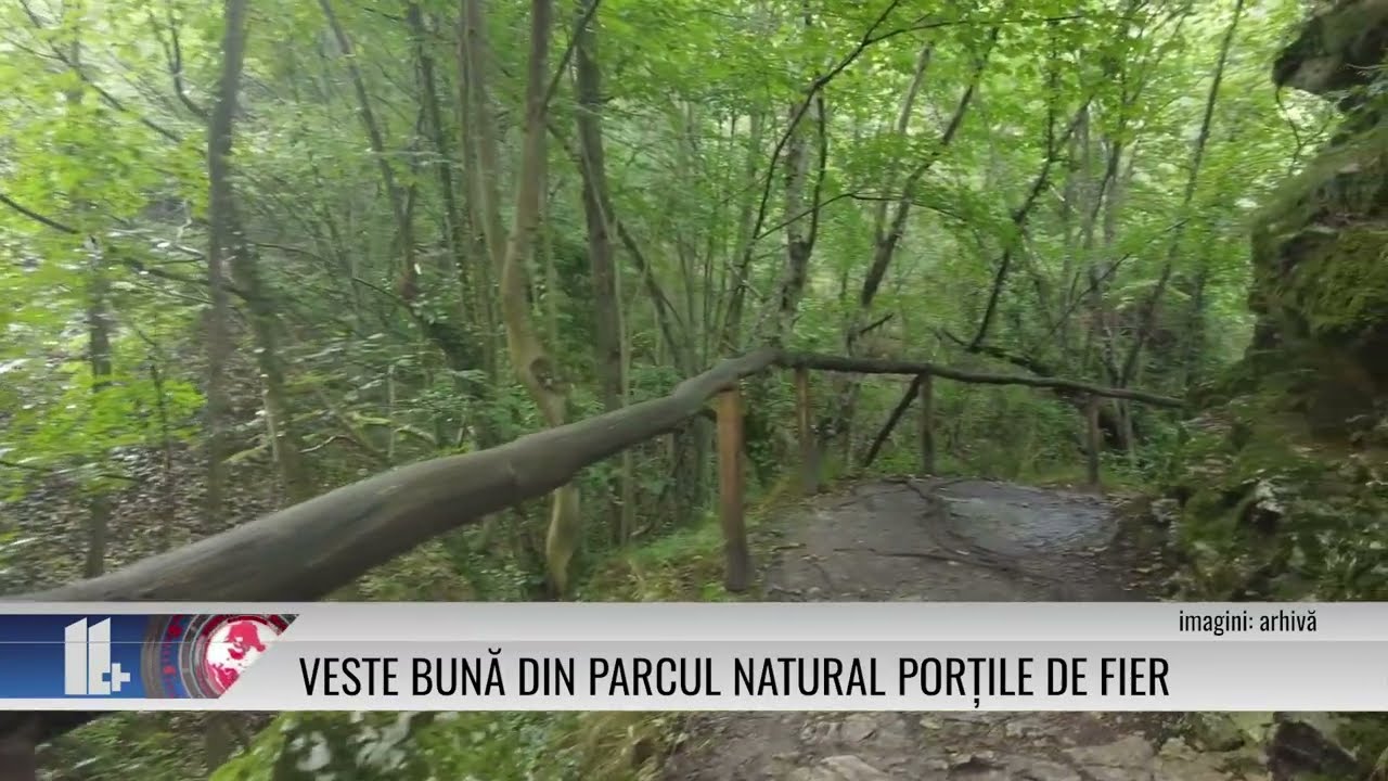 Veste bună din Parcul Natural Porțile de Fier