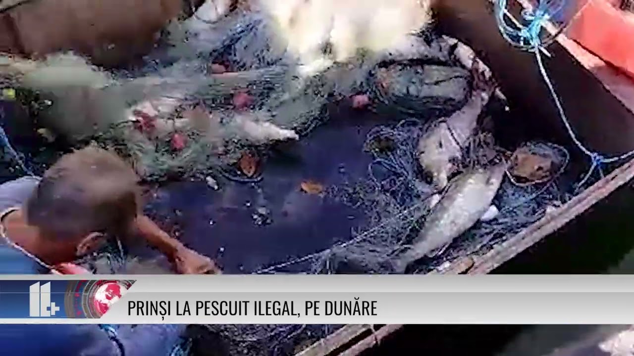 Prinși la pescuit ilegal