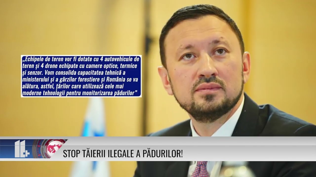 Stop tăierii ilegale a pădurilor!