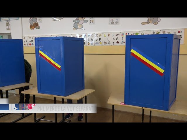 PNL merge la vot separat de PSD