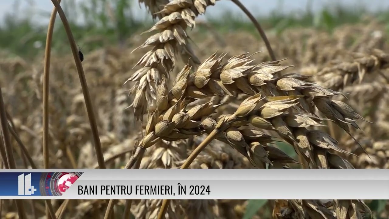 Bani pentru fermieri, în 2024