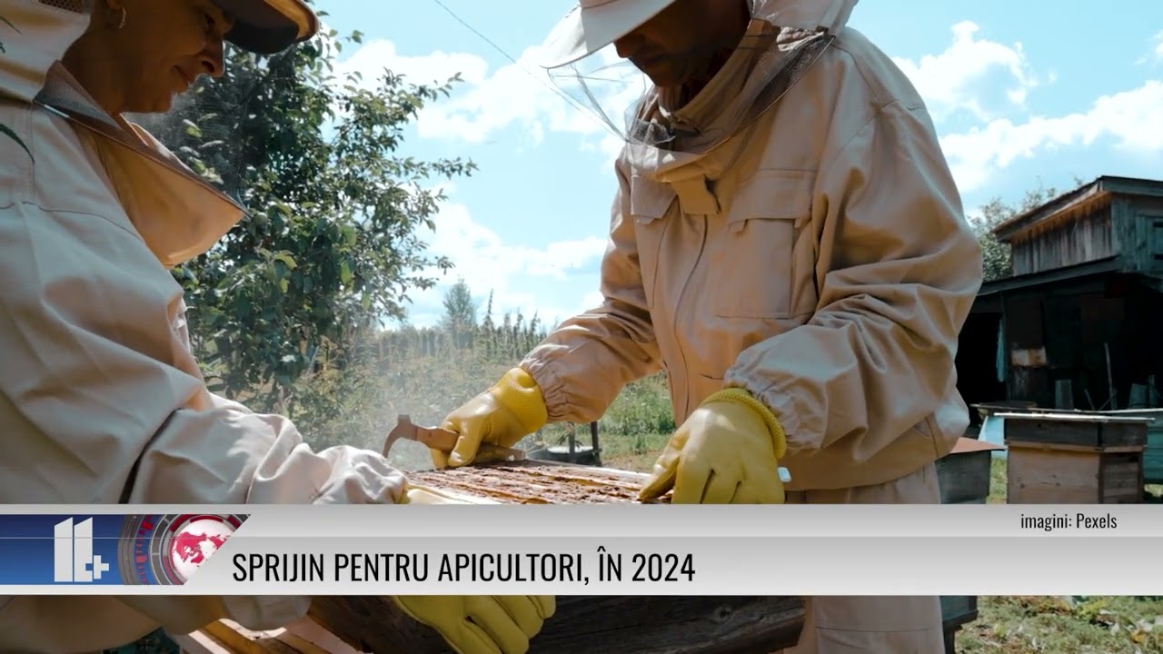 Sprijin pentru apicultori, în 2024