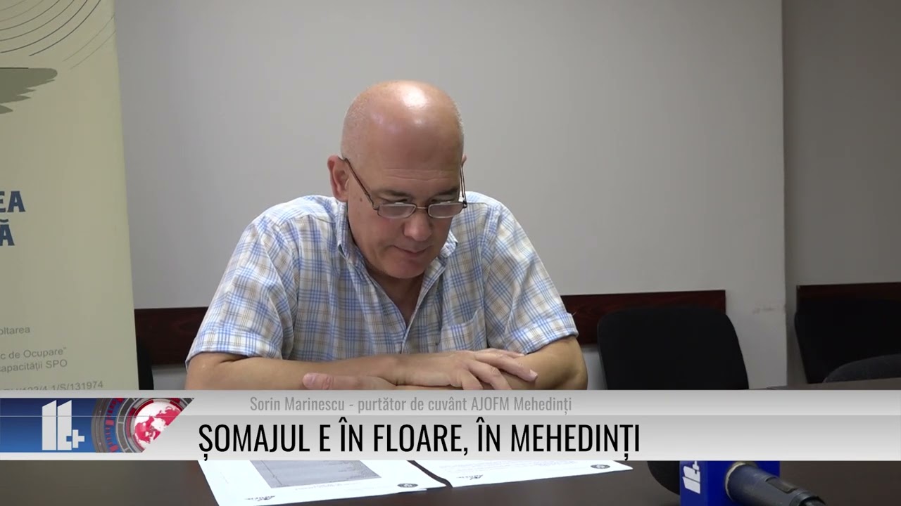 Șomajul e în floare, în Mehedinți