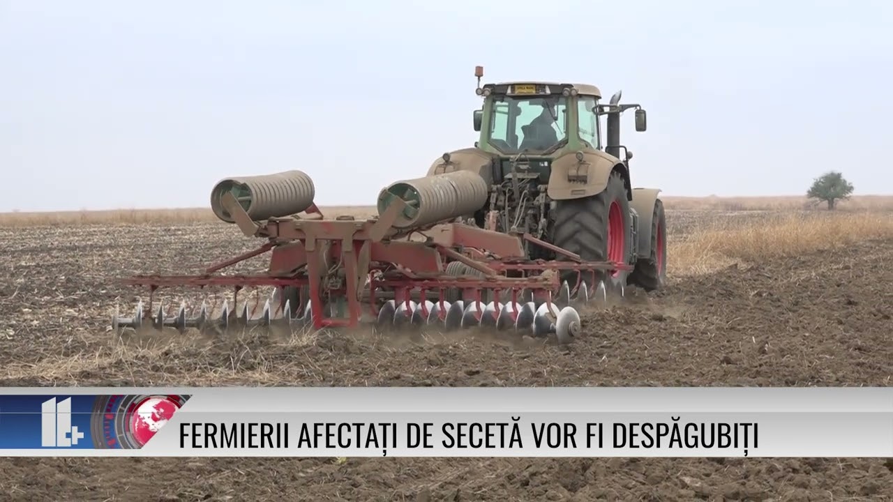 Fermierii afectați de secetă vor fi despăgubiți