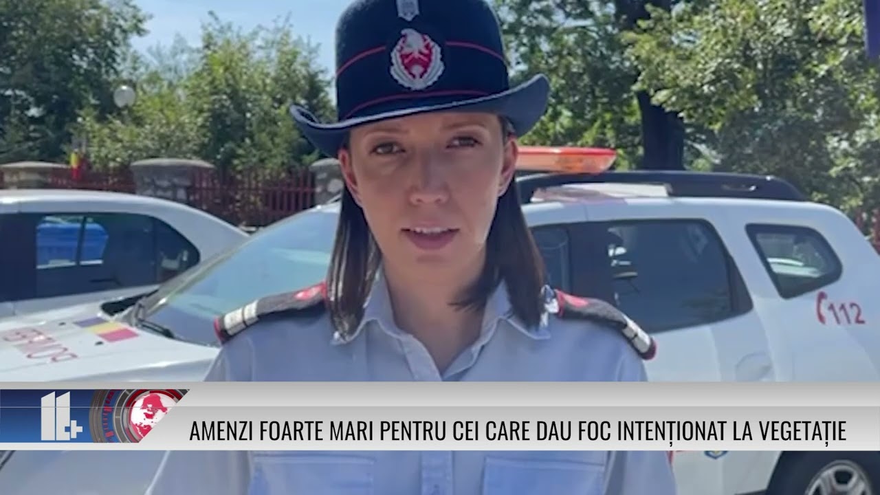 Amenzi foarte mari pentru cei care dau foc intenționat la vegetație