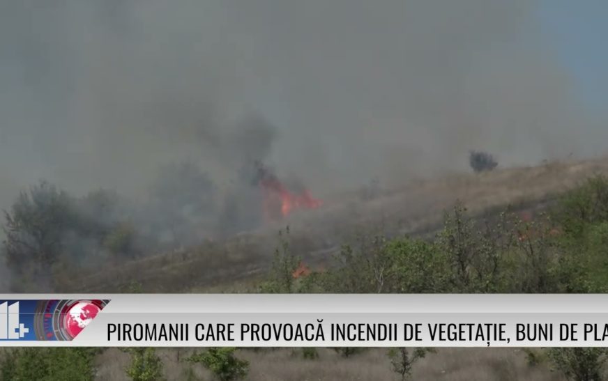 Piromanii care provoacă incendii de vegetație, buni de plată!