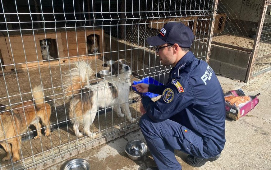 Activități de informare ale polițiștilor, cu ocazia Zilei Mondiale a Animalelor