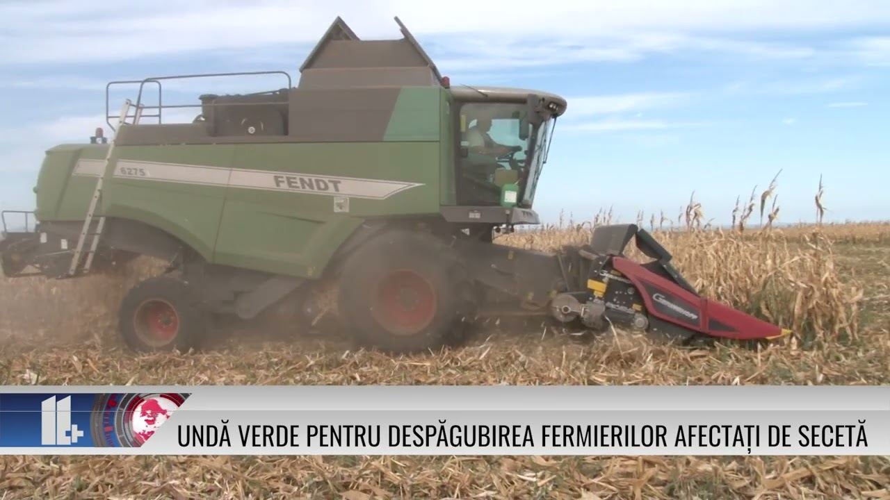 Undă verde pentru despăgubirea fermierilor afectați de secetă!