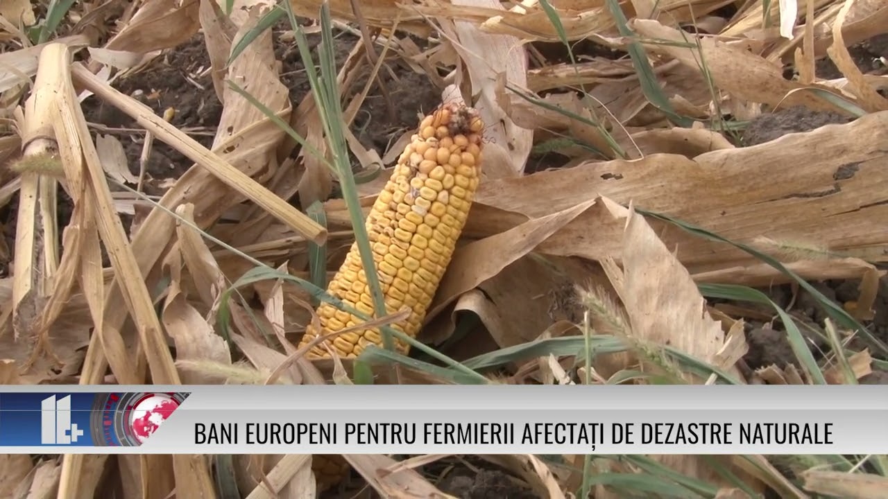 Bani europeni pentru fermierii afectați de dezastre naturale!