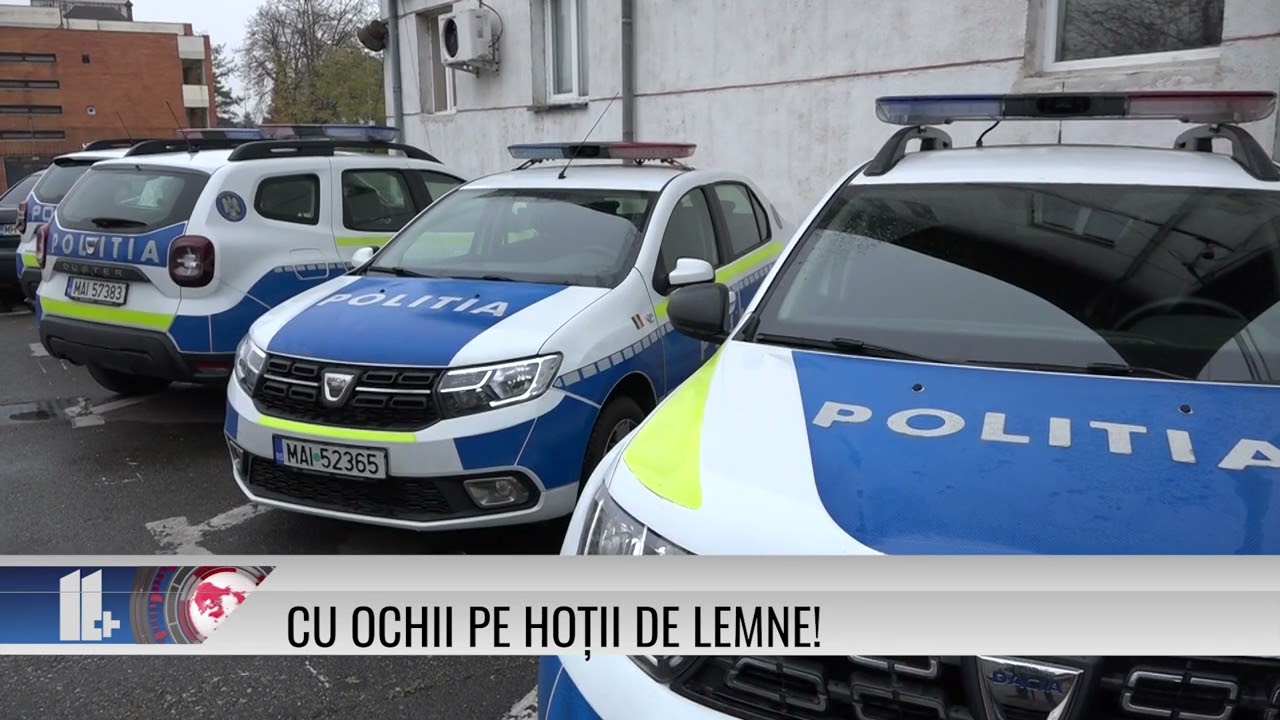 Cu ochii pe hoții de lemne!