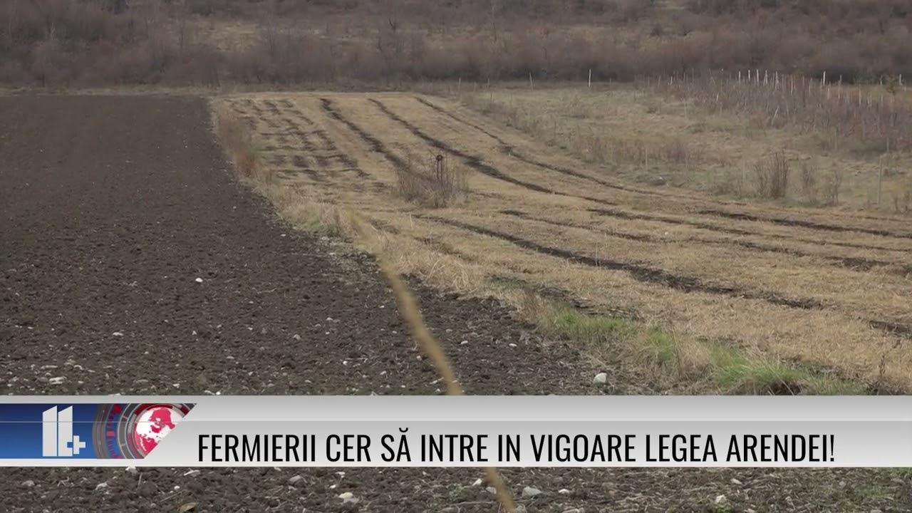 Fermierii cer să intre în vigoare Legea Arendei!