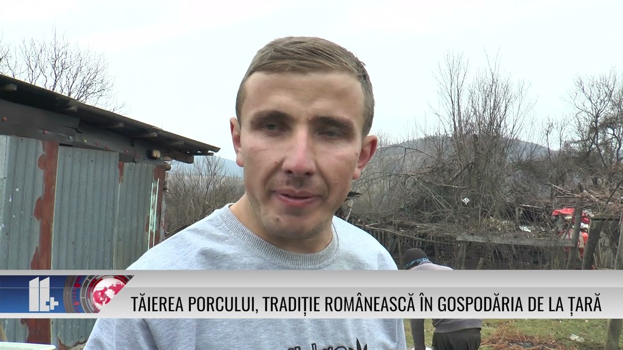 Tăierea porcului, tradiție românească în gospodăria de la țară!