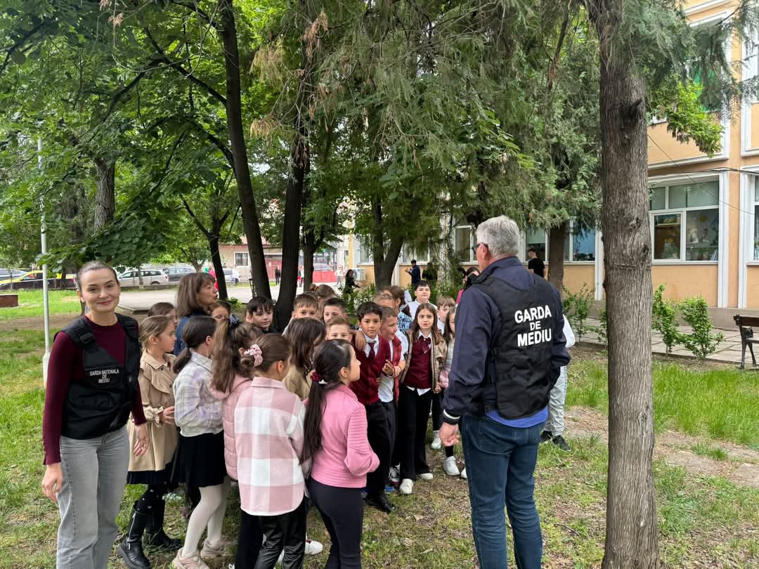 Un pui de corb a fost salvat!