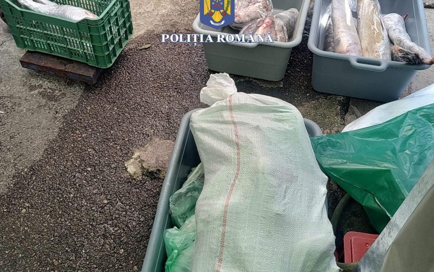 Cu dosar penal și fără 100 de kg de pește!
