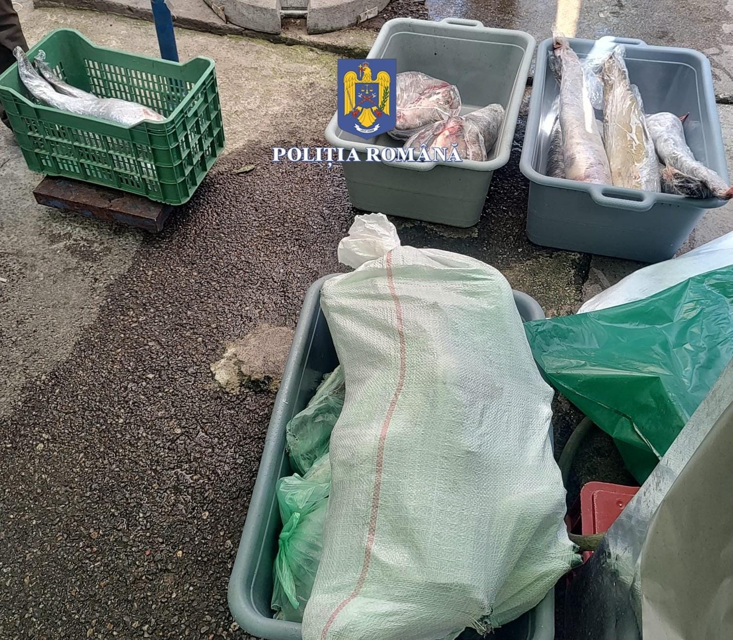 Cu dosar penal și fără 100 de kg de pește!